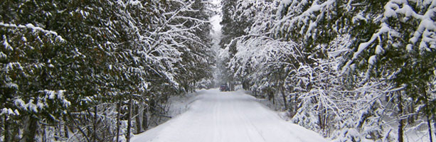 West Carleton trails