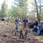 Trail Clearing Oct. 2012