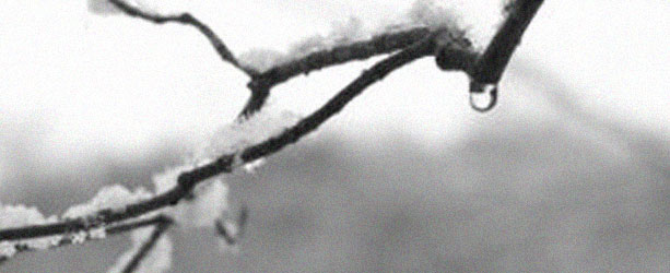 Spring thaw - Trails Closed