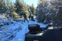 trail-brushing-blakeney