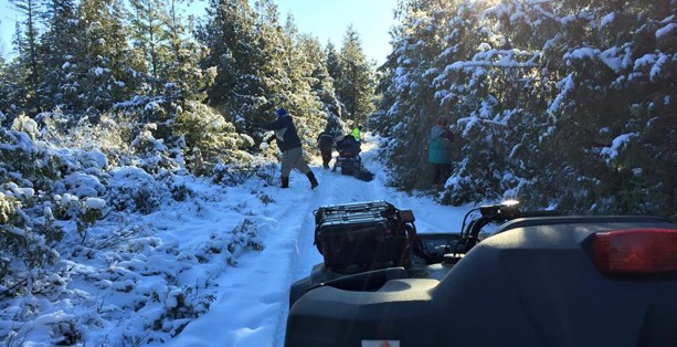 trail-brushing-blakeney