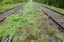 Rail line trails - your action needed